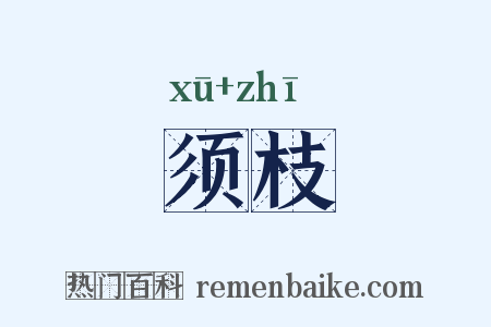 须枝是什么意思的图片